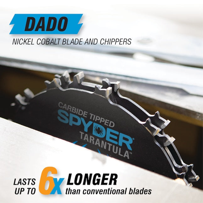 Spyder 13023 Tarantula DADO Circular Saw Blade, 6 In.